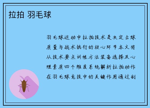 拉拍 羽毛球